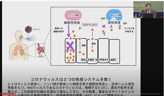 新型コロナウイルスに関してのレポートをアップします。自分なりに調べまとめました。